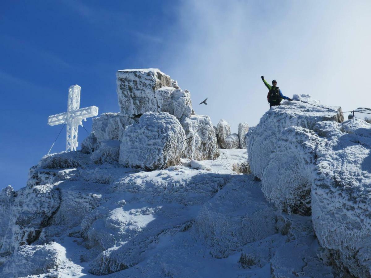 Blockhaus Royer Apartman Ramsau am Dachstein Kültér fotó